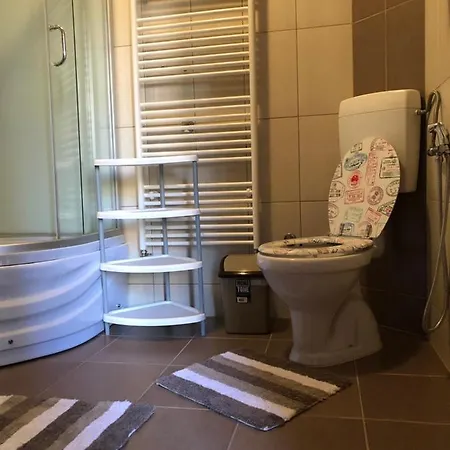 Apartment Munja *